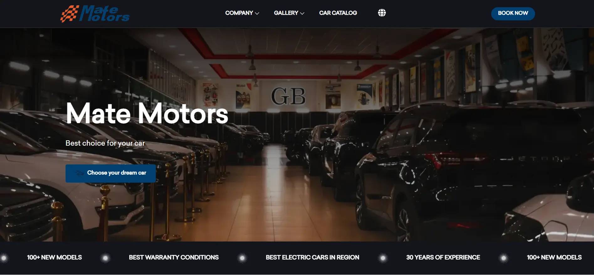 Mate Motors website preview